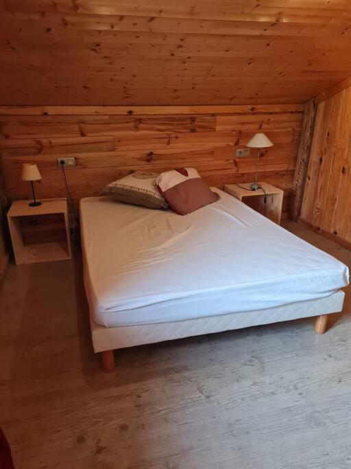 Chalet Familial - Pyrenees, Au Coeur Des 3 Stations La Cabanasse 外观 照片