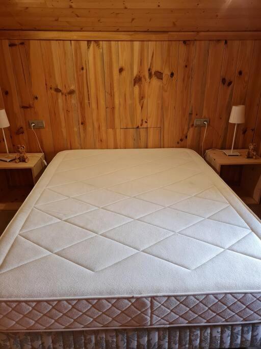 Chalet Familial - Pyrenees, Au Coeur Des 3 Stations La Cabanasse 外观 照片